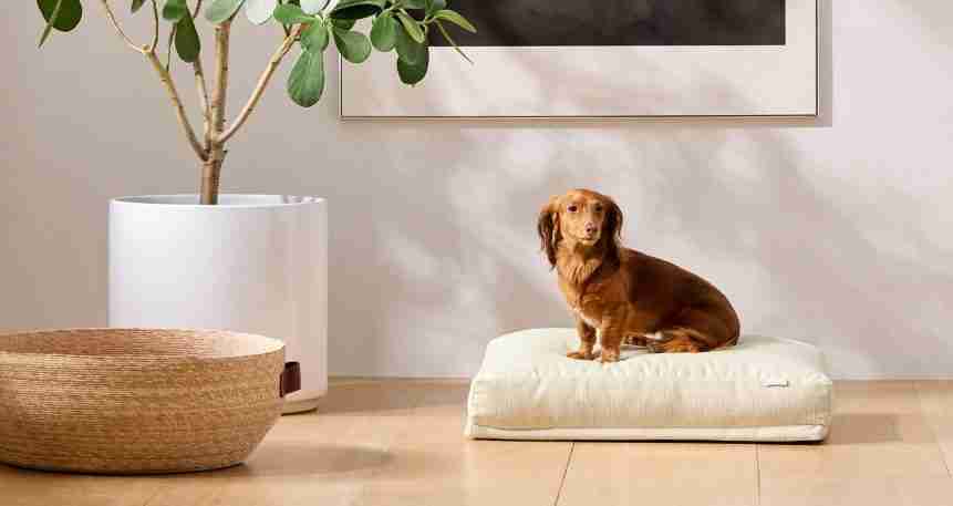 dog bed front model small 3 2